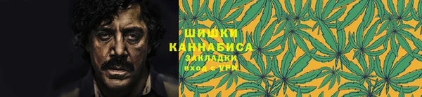 гидра Алексеевка