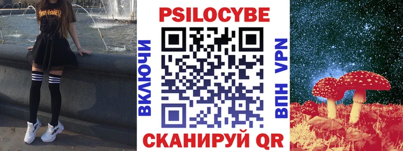 Псилоцибиновые грибы Psilocybe купить наркотики цена Всеволожск